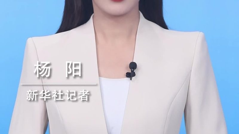 数据中台与数据仓库：本质区别与适用场景解析